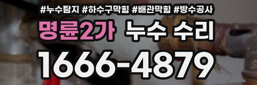 명륜2가 누수 수리