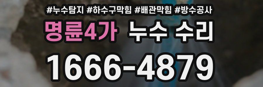 명륜4가 누수 수리