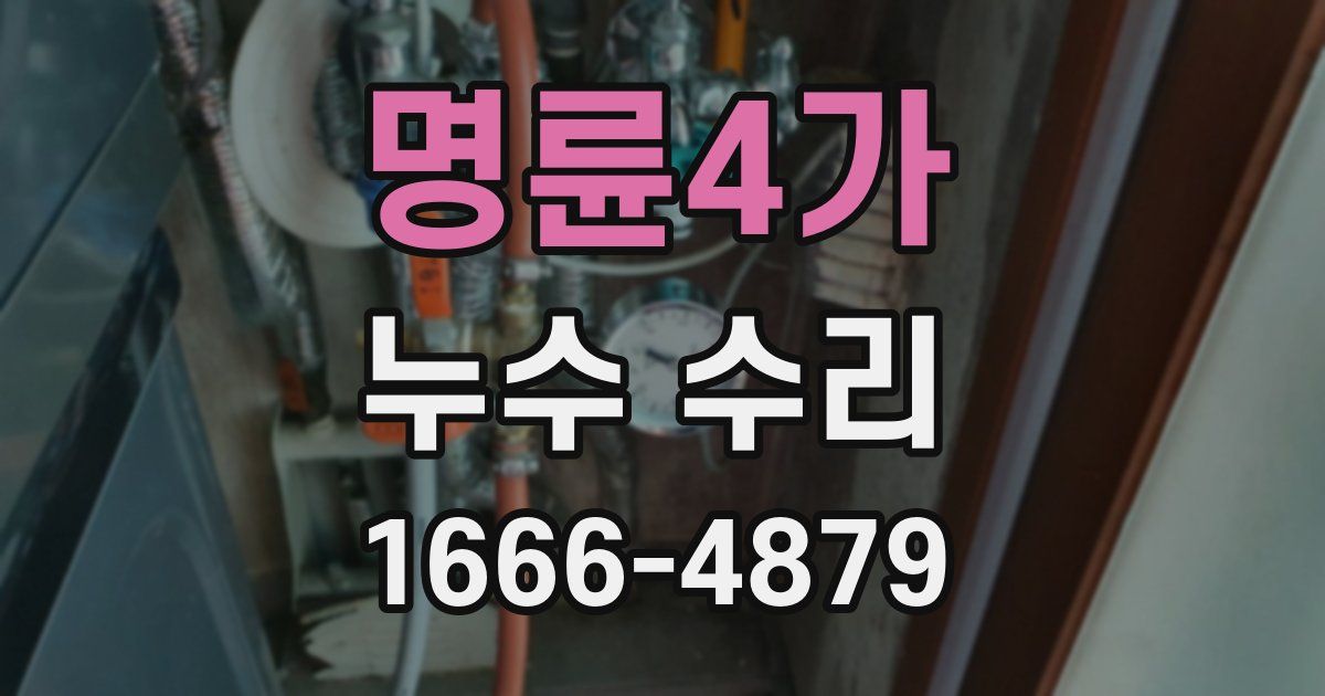명륜4가 누수 수리