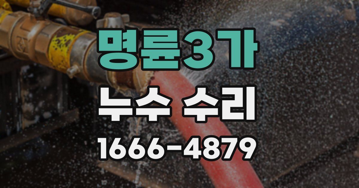 명륜3가 누수 수리