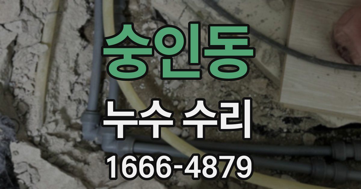 숭인동 누수 수리
