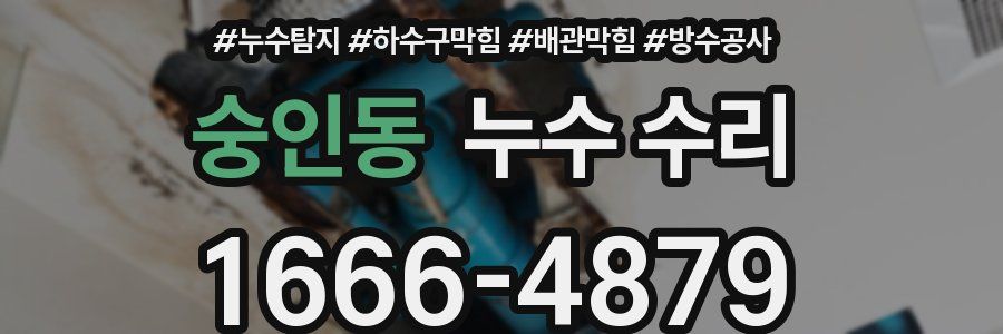 숭인동 누수 수리