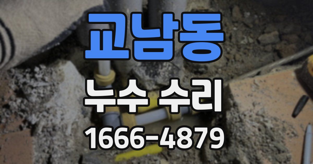 교남동 누수 수리