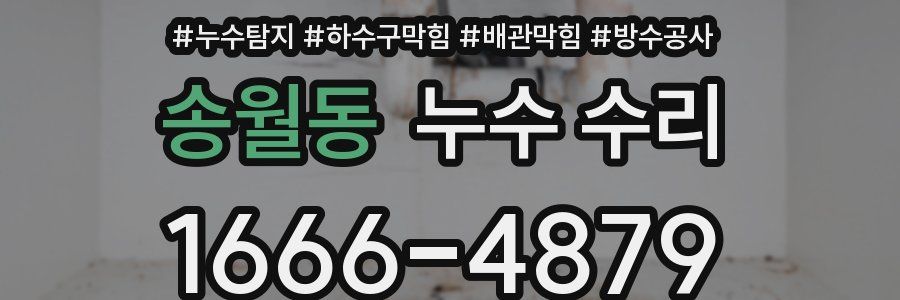 송월동 누수 수리