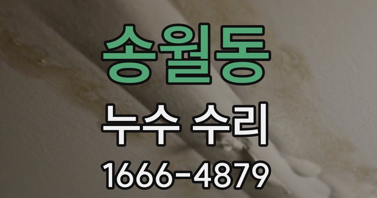 송월동 누수 수리