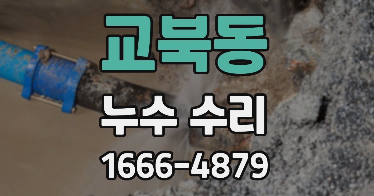 교북동 누수 수리