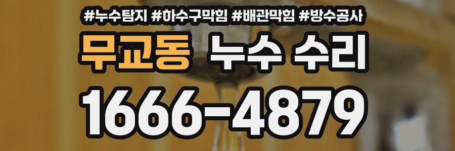 무교동 누수 수리