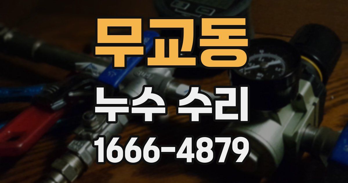 무교동 누수 수리