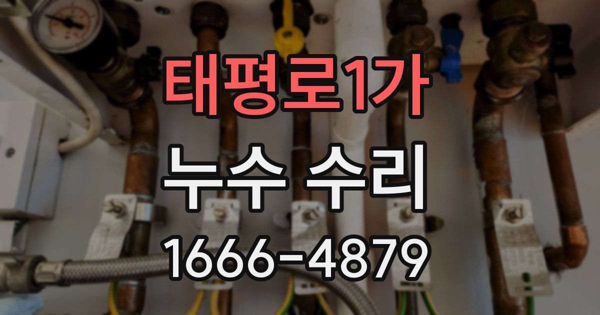 태평로1가 누수 수리