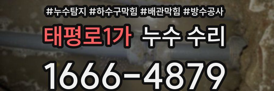 태평로1가 누수 수리