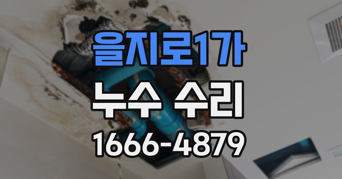 을지로1가 누수 수리