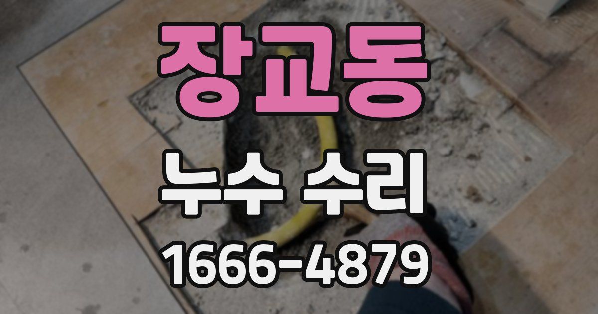 장교동 누수 수리