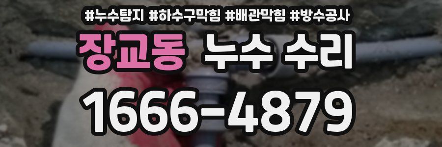 장교동 누수 수리