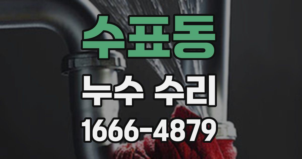 수표동 누수 수리