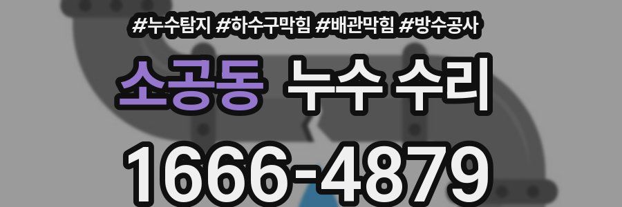 소공동 누수 수리