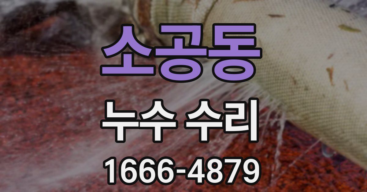 소공동 누수 수리
