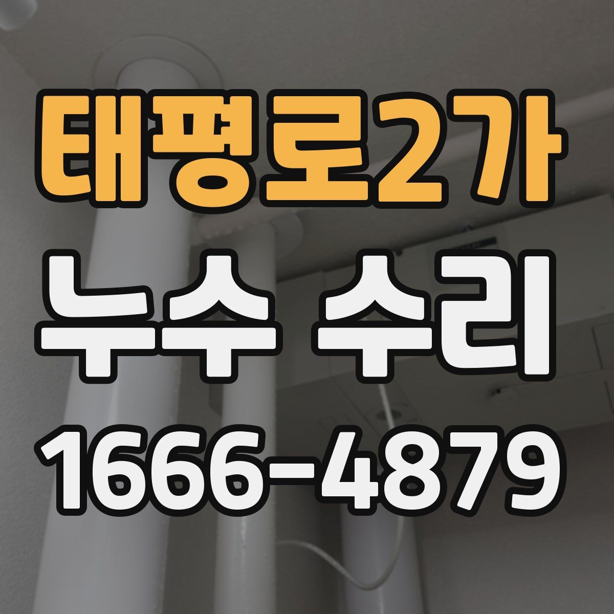 태평로2가 누수 수리