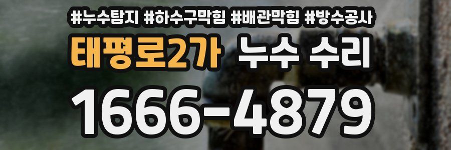 태평로2가 누수 수리