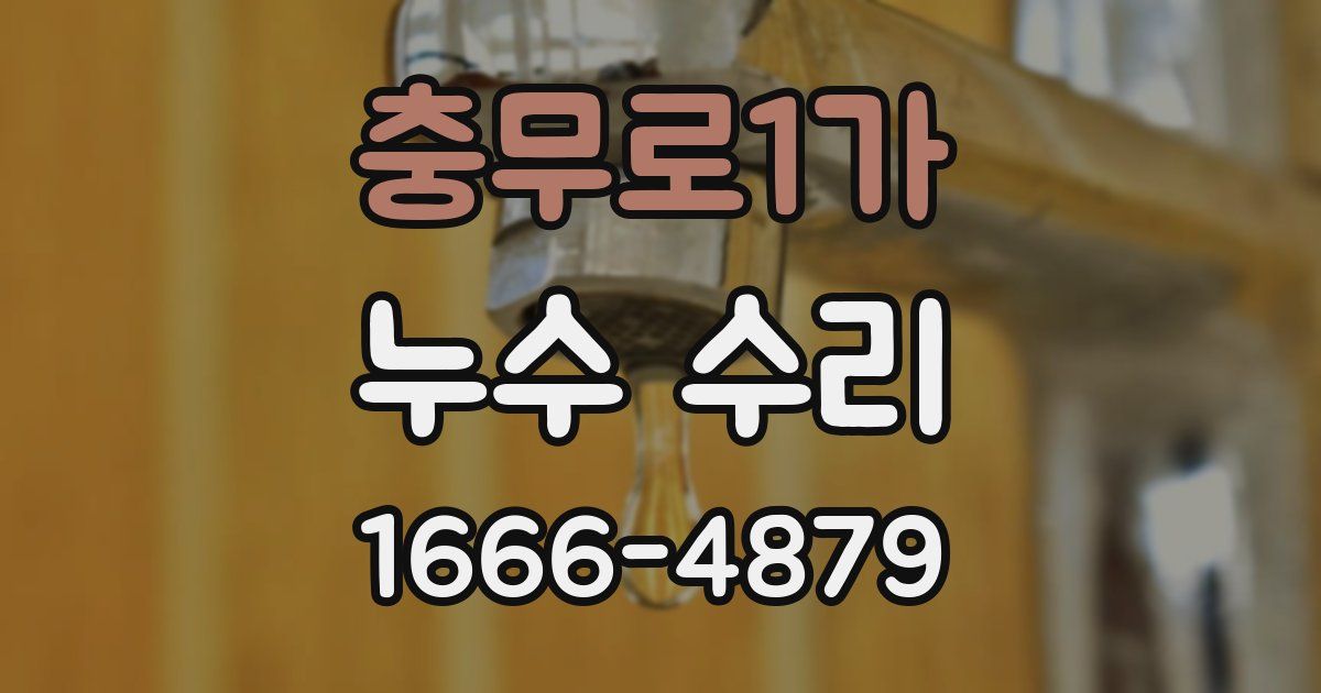 충무로1가 누수 수리