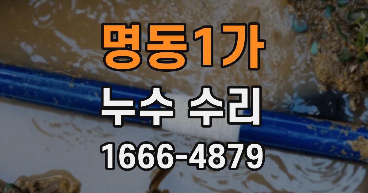 명동1가 누수 수리