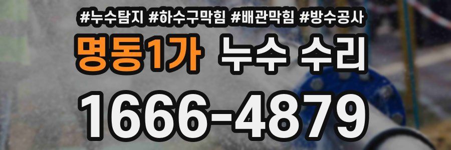 명동1가 누수 수리
