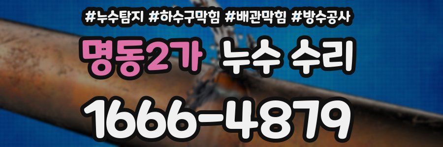 명동2가 누수 수리