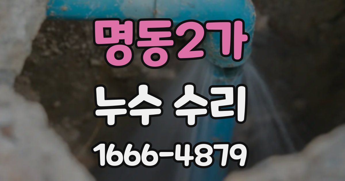 명동2가 누수 수리