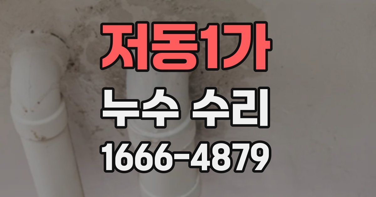 저동1가 누수 수리