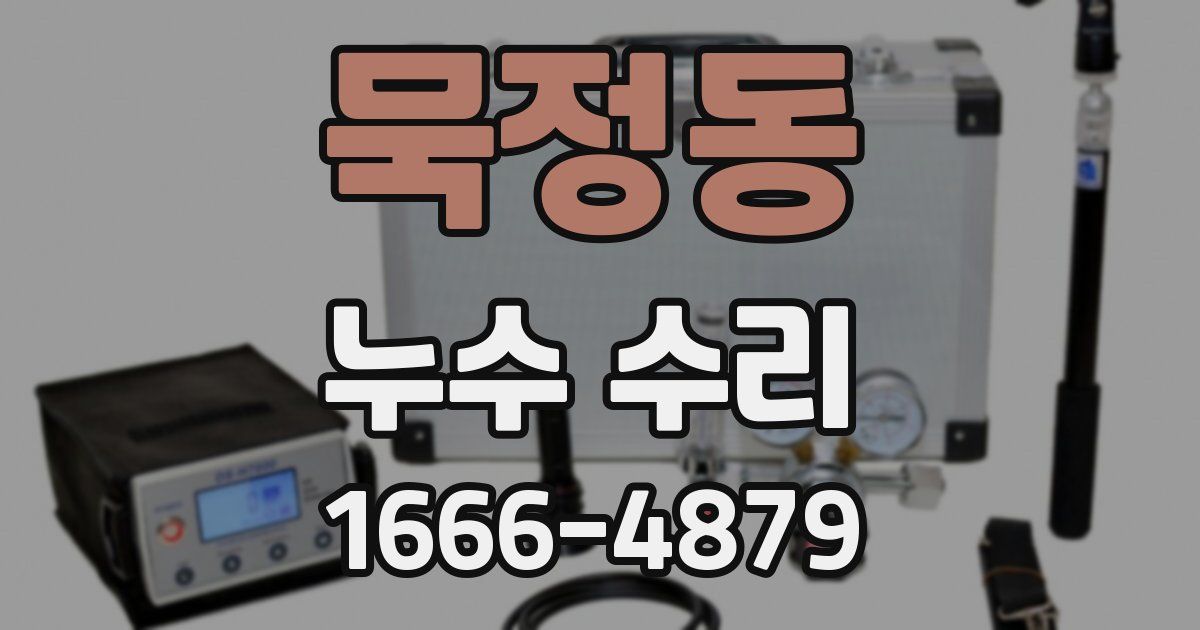 묵정동 누수 수리