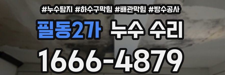 필동2가 누수 수리