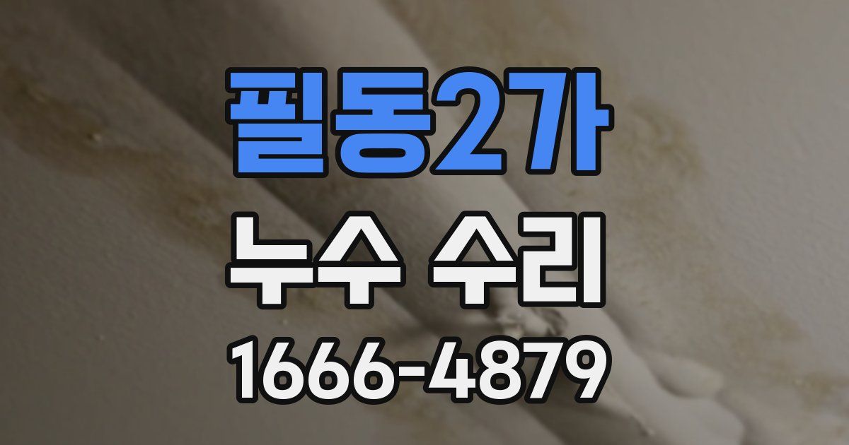 필동2가 누수 수리