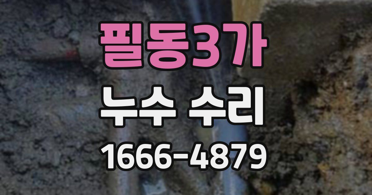 필동3가 누수 수리