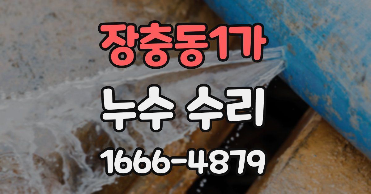 장충동1가 누수 수리