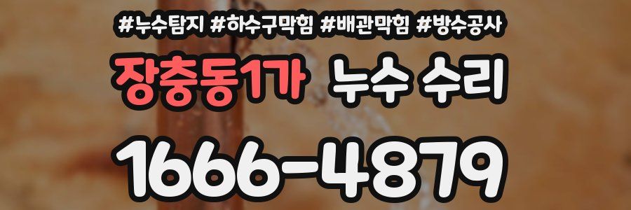 장충동1가 누수 수리