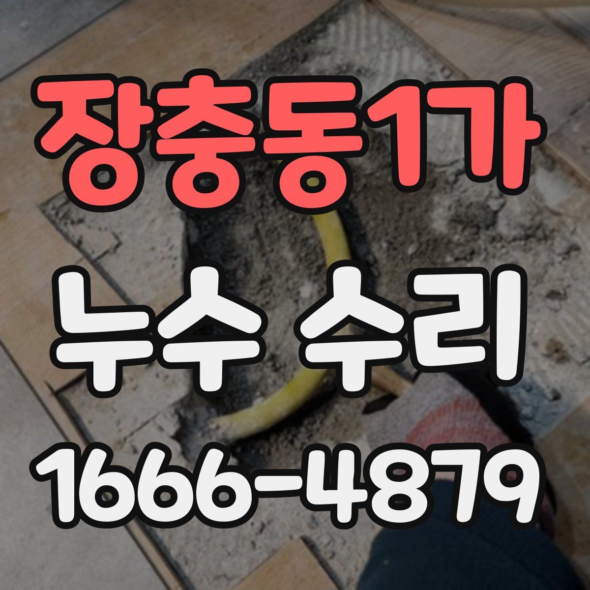 장충동1가 누수 수리