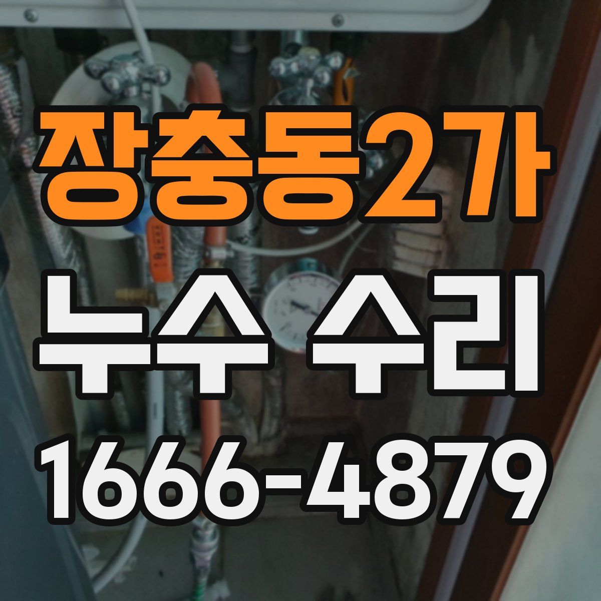 장충동2가 누수 수리
