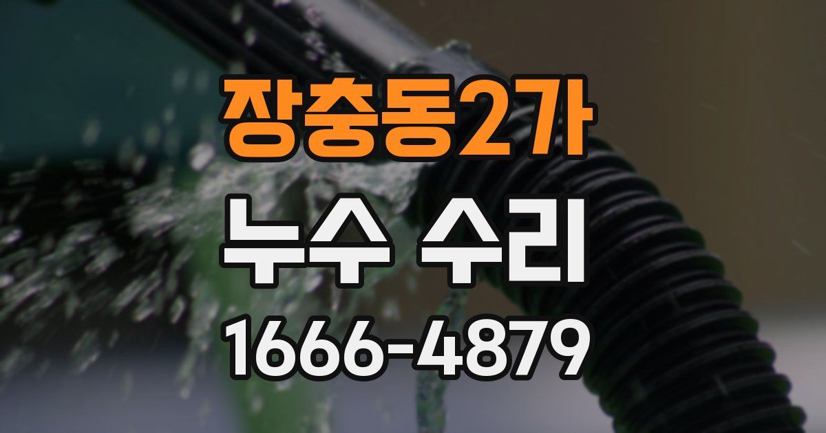 장충동2가 누수 수리
