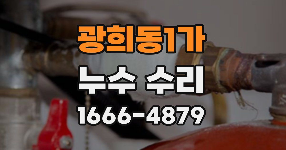 광희동1가 누수 수리