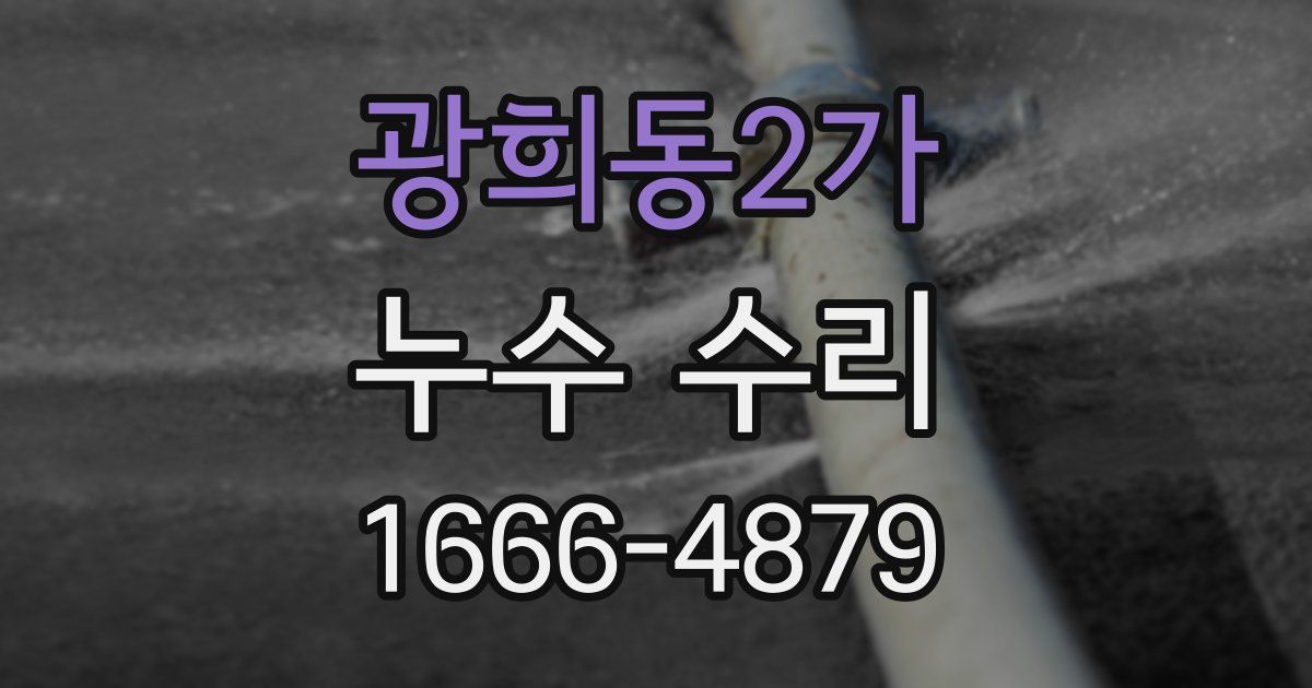 광희동2가 누수 수리