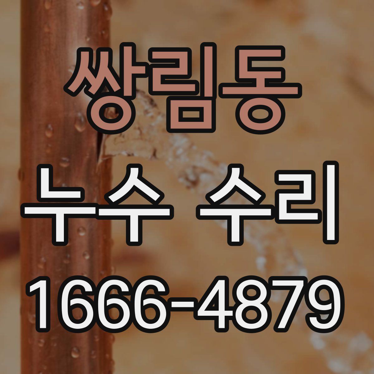 쌍림동 누수 수리