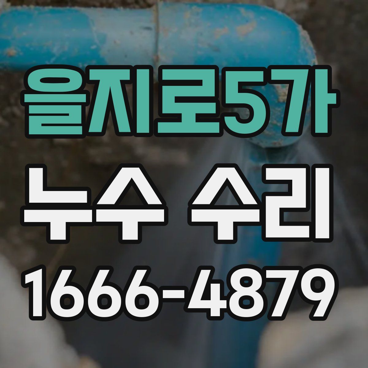 을지로5가 누수 수리