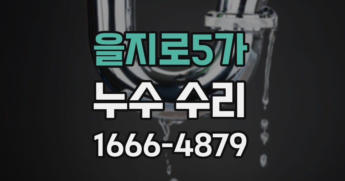 을지로5가 누수 수리