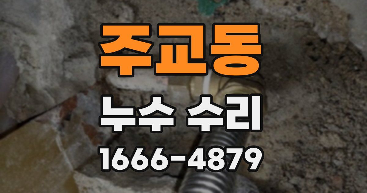 주교동 누수 수리