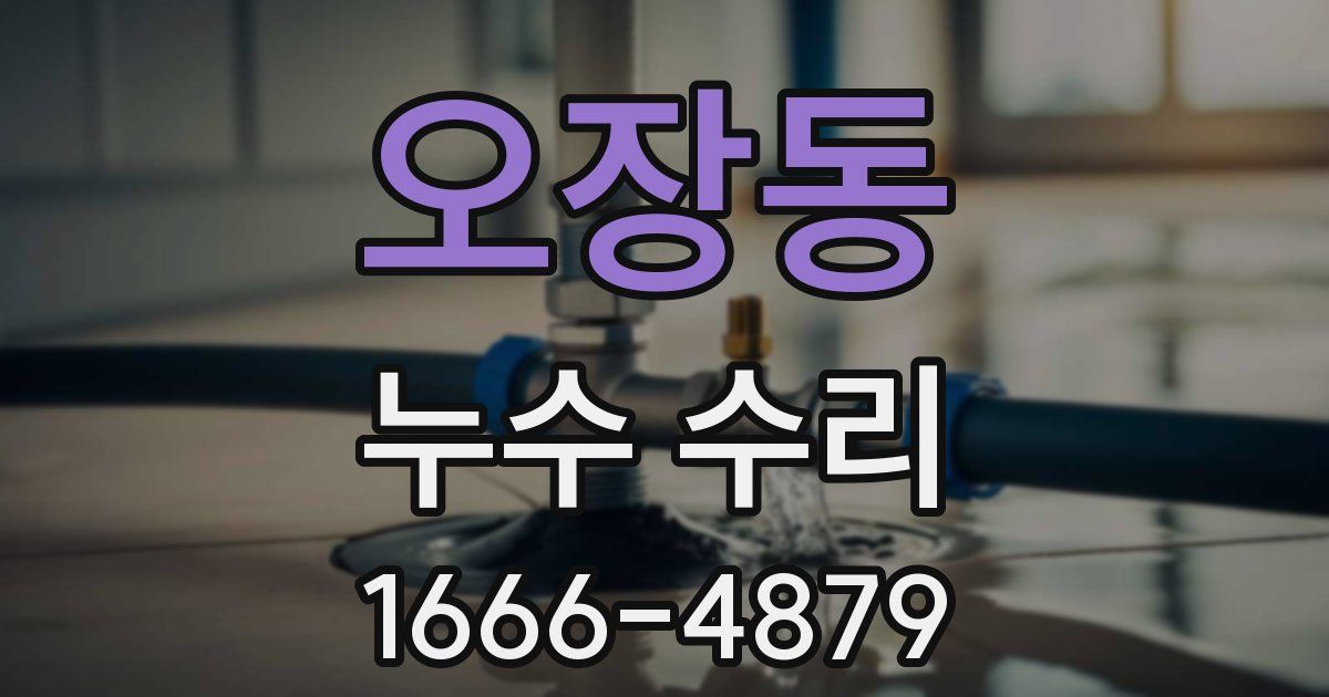 오장동 누수 수리