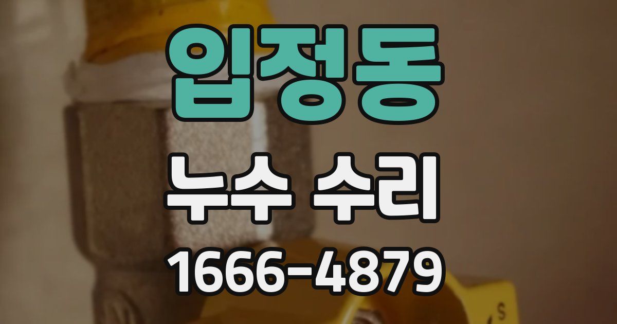 입정동 누수 수리