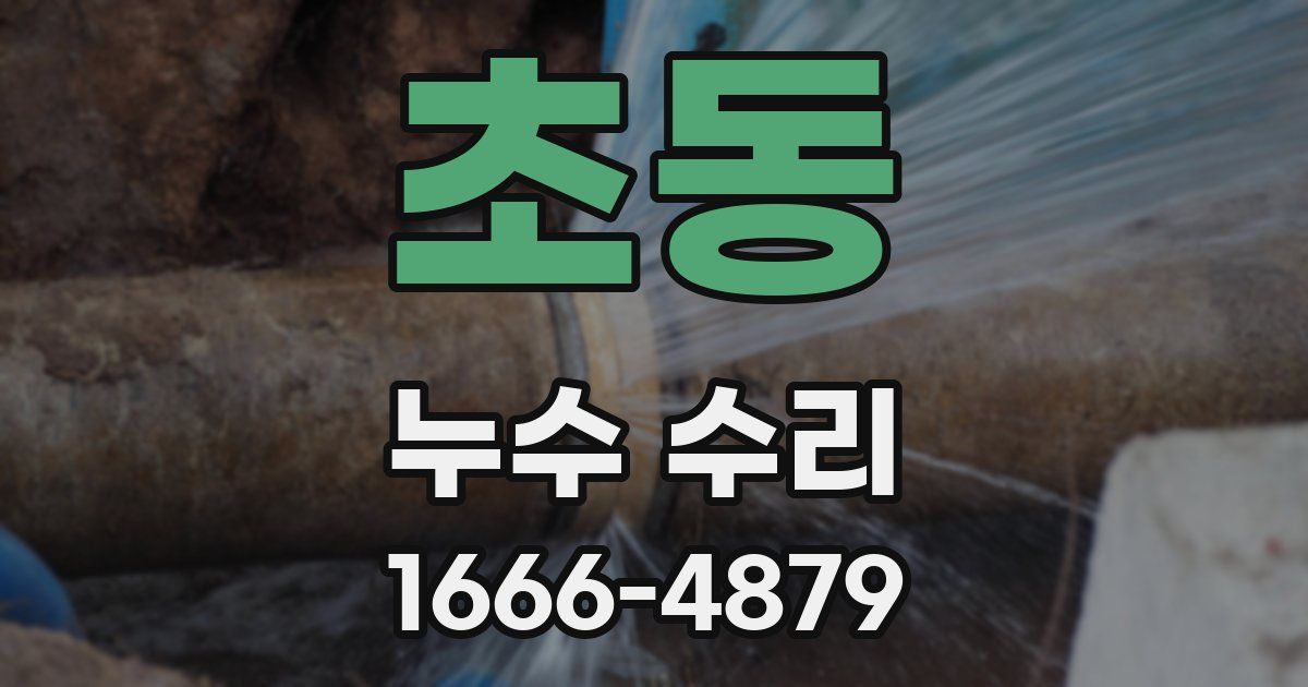 초동 누수 수리