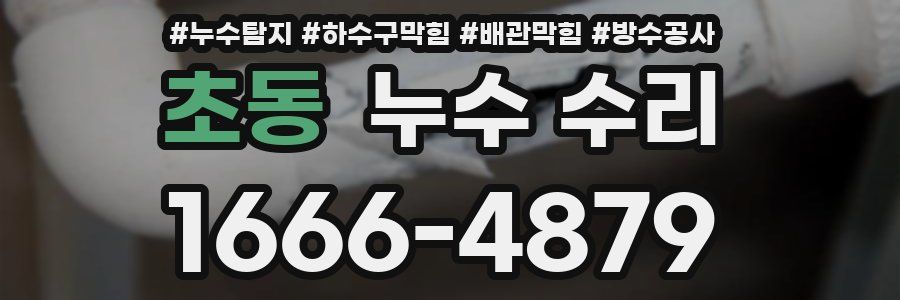 초동 누수 수리