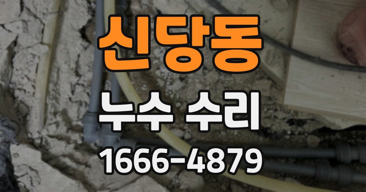 신당동 누수 수리