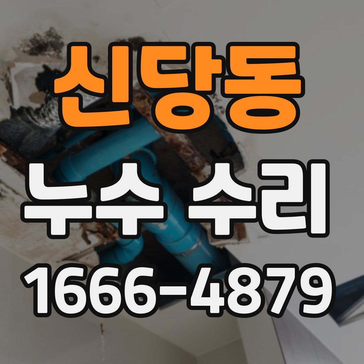 신당동 누수 수리