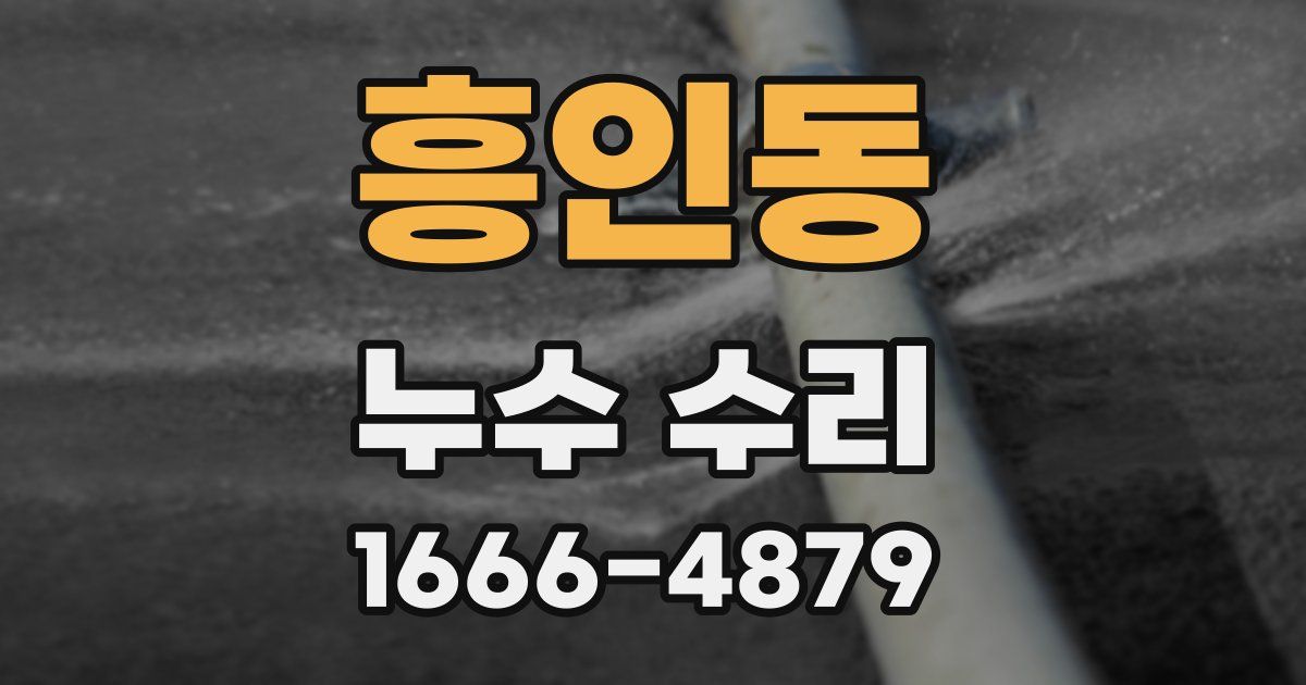 흥인동 누수 수리